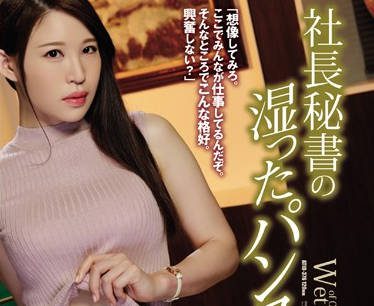 ATID-376 Big Tits Black Stockings Secretary To The President – Touka Rinne