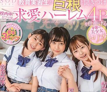 STARS-308 Student Teacher