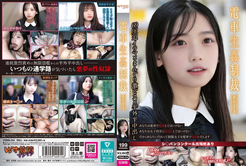YDNS-014
